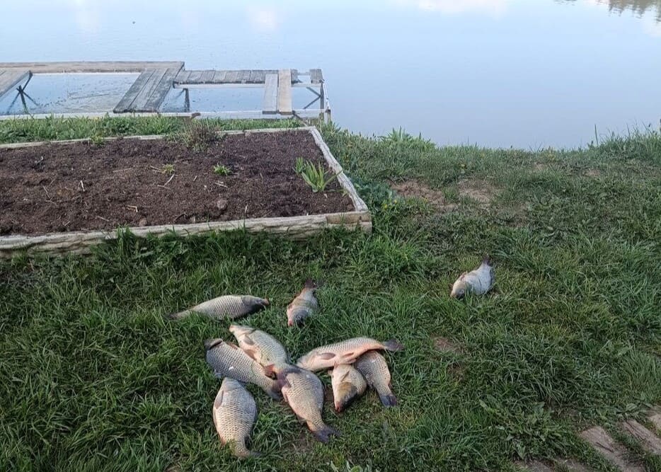 Продажа офиса  